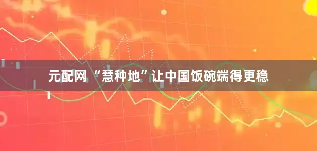 元配网 “慧种地”让中国饭碗端得更稳