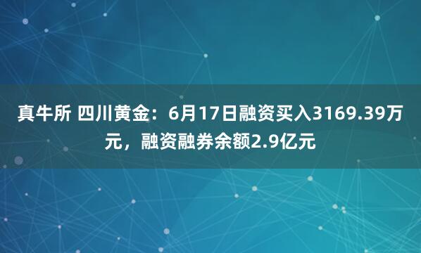 真牛所 四川黄金：6月17日融资买入3169.39万元，融资融券余额2.9亿元
