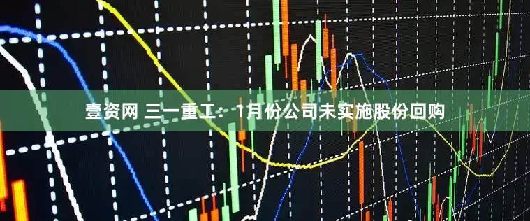 壹资网 三一重工：1月份公司未实施股份回购